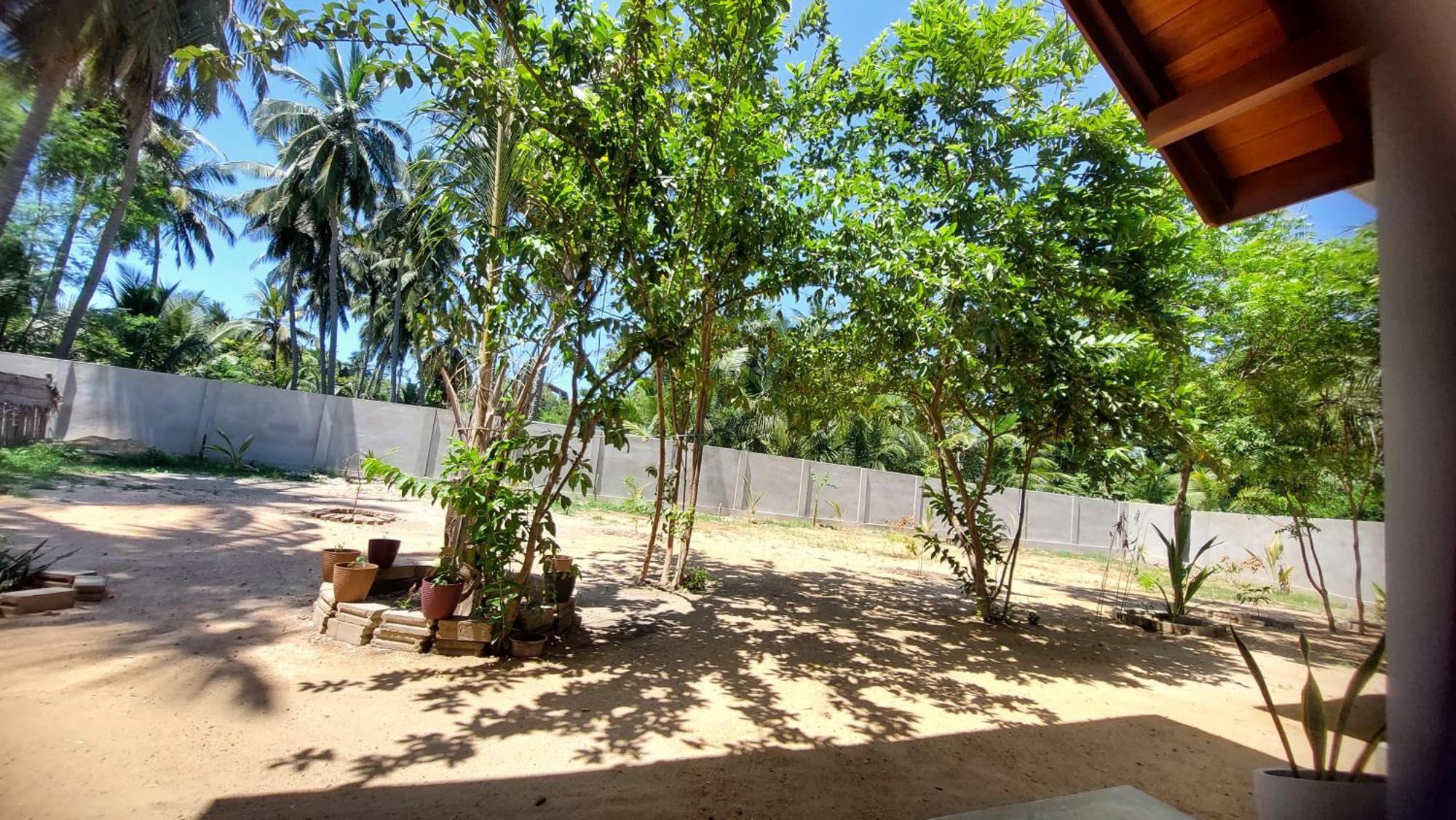 The Dream Inn Guesthouse Passikudah 바티칼로아 외부 사진